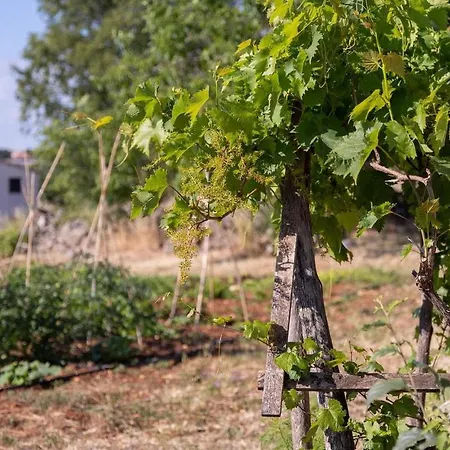 بيت للعطل Bellavista Radmani بوريتش